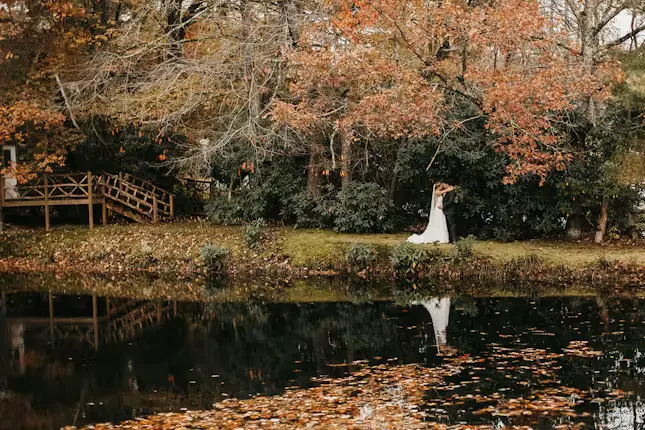 Autumn by the pond