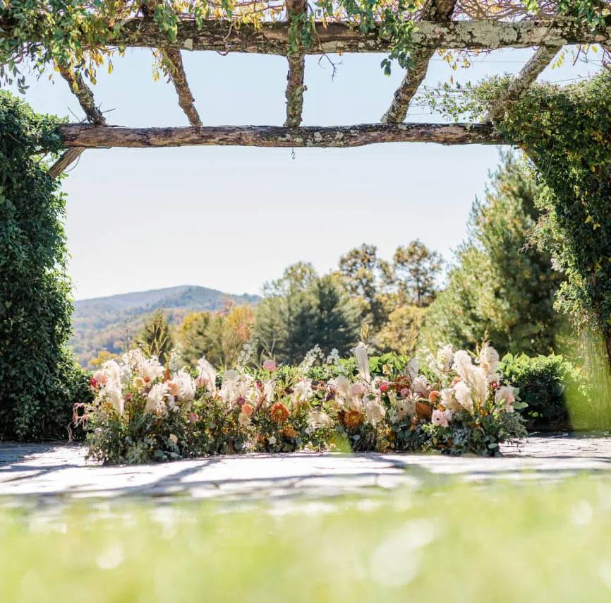 The pergola dressed in florals